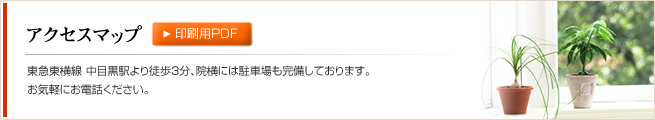 診療内容・料金