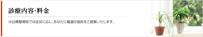 診療内容・料金