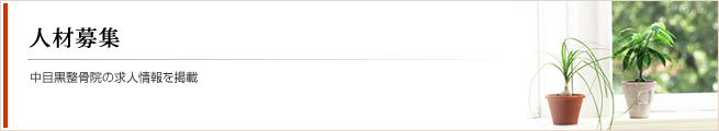人材募集｜中目黒整骨院の求人情報を掲載