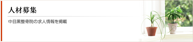 人材募集｜中目黒整骨院の求人情報を掲載